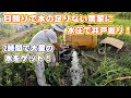 【DIY】水圧で井戸掘り!地底4mまで掘り進めて分かった、井戸掘りのリアルな手応え