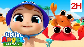 نقضي يوم على شاطئ البحر 🏖🦀| أغاني تعليمية للأطفال باللغة العربية | Little Angel Arabic