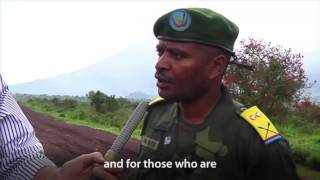 UN Forces partner with the Congolese army to push out rebels