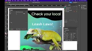 Automation Indesign- Preflight