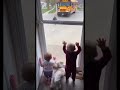 شاهد اطفال كلب ينتظرون في شباك 