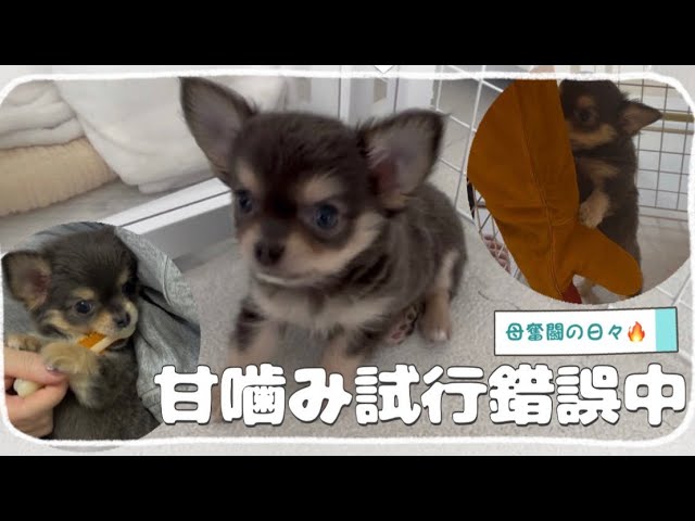 Ran, how are you doing? - YouTube