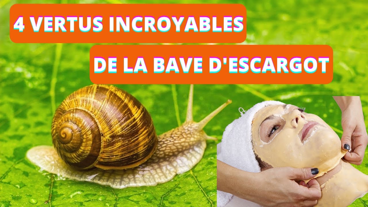 04 vertus incroyables de la bave d'escargot - YouTube