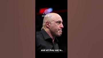 LEAKED: Joe Rogan & Elon Musk Interview Extended Footage #shorts