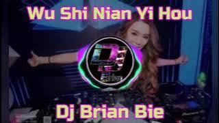 Wu Shi Nian Yi Hou 五十年以后 Remix By Dj Brian Bie