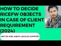 How to decide RICEFW objects in case of client requirement (2024)