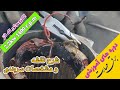 توضیحات نقشه و مشخصات سربندی موتور تک فاز 