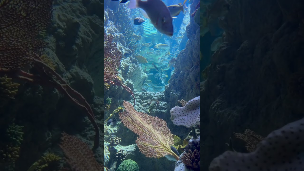 #жизненныецитаты