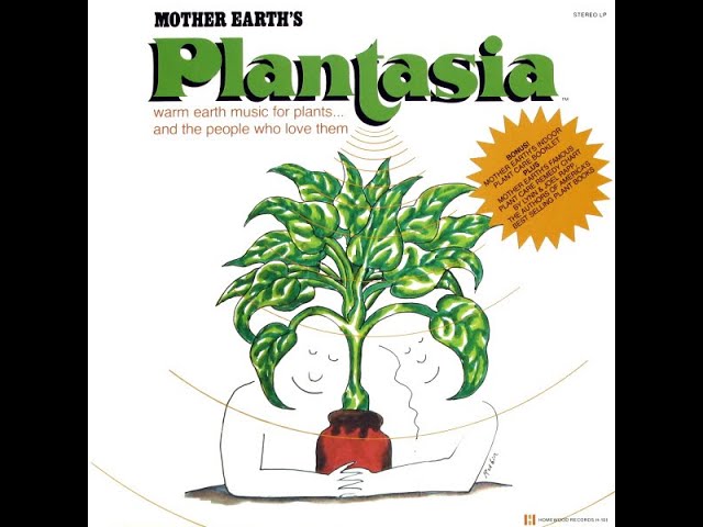 洋楽 Mort Garson Mother Earth's Plantasia Mort Garson: Mother Earth's Plantasia – Mort Garson Official