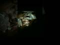 what is special about this movie 😱 | chup movie | #movie #bollywood #shorts #horrorstories