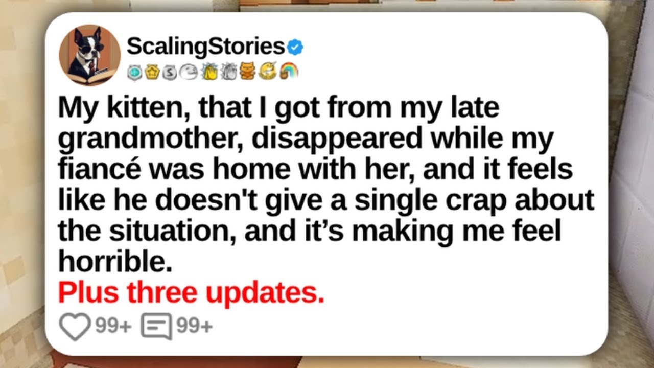 My Kitten, That I Got From My Late Grandmother, Disappeared While My Fiancé Was | Reddit Updates