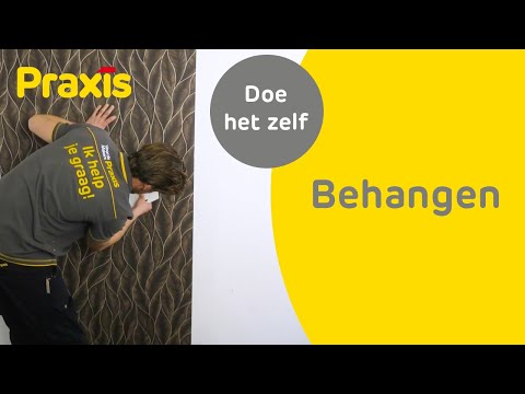 Video: Keuze van behang voor muren: soorten, foto's