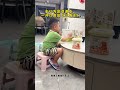 奶声奶气版《三角志》#萌娃唱歌 #粤语经典 #三角志 #人类幼崽到底多可爱 #原创