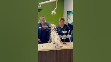 Bringing a random object to work #shorts #dentist #braces