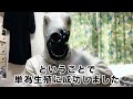 産卵してみた
