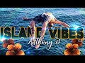 Anthony d  island vibes official