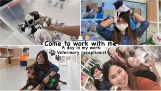 Come to work with me! | A day in my life as a veterinary receptionist 🐶🐱