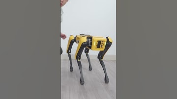 NGHỊCH THỬ CHÓ ROBOT GIÁ 1 TỶ 7... #Shorts