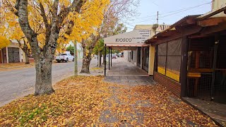 Otoño es tiempo de renovarse, dejar caer las hojas secas de tu vida.