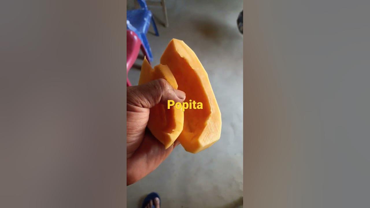 popita - YouTube