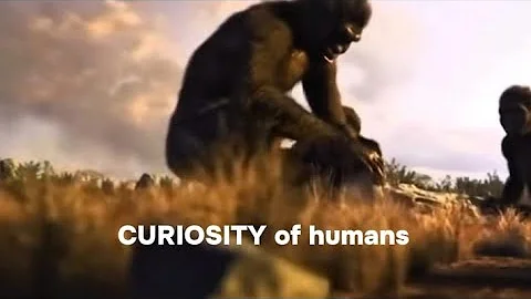 iwSAGA - 'curiosity' (Official Music Video)