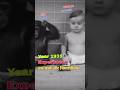 Experiment between baby boy and chimpanzee