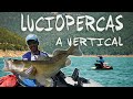 [ANGLERS]  Luciopercas a Vertical desde Pato #1