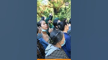 Hình ảnh xúc động tại Lễ an táng phu nhân Đại tướng Võ Nguyên Giáp tại Vũng Chùa-Đảo Yến