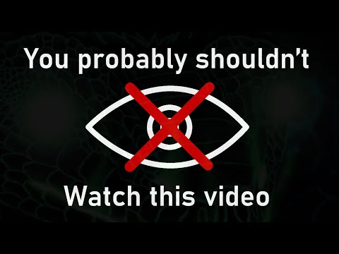 The Most Dangerous Pieces Of Information - Cognitohazards