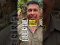 🚀 Esta expresión te ayuda a hablar con más confianza
