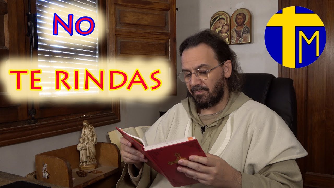 El Evangelio de hoy 3 noviembre 2023 (Lc 14,1-6) Padre David de Jesús