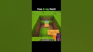 FREE Minecraft X-Ray glitch! 😱 #shorts #talwiinder