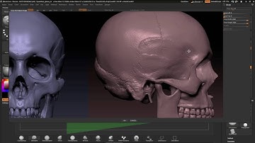 ZBrushCore - Paul Gaboury - Part 1 Importing Reference Images