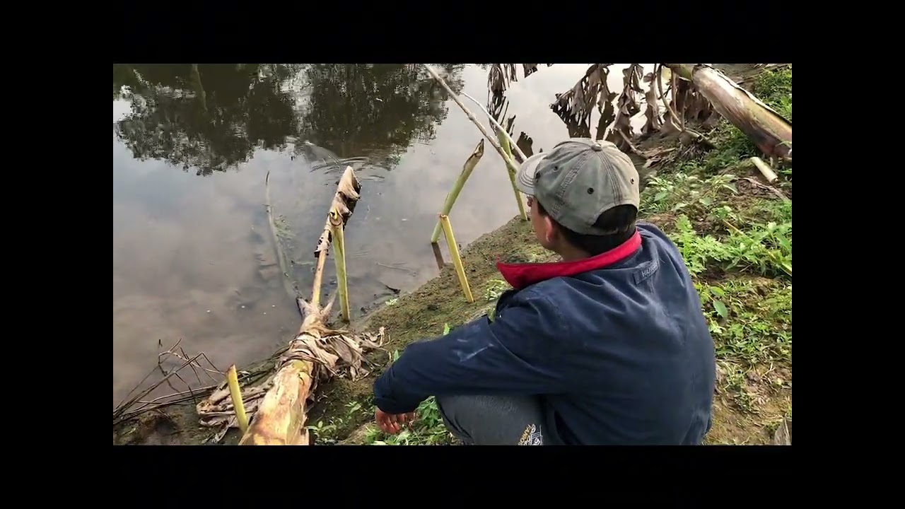 ĐI QUAY CẬN CẢNH CON ĐÊ QUÊ EM và ĐI TÌM CHÚ RA SÔNG XEM CÂU CÁ VUI..