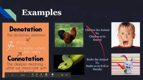 Connotation vs  Denotation