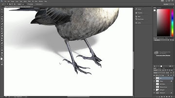 Drop Shadow Tutorial - Advanced Drop Shadow Techniques