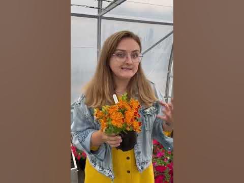#сад #дача #огород #семенаалтая - YouTube