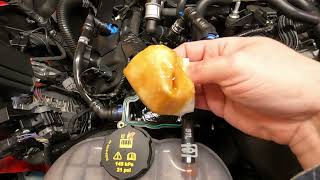 Checking the Ford Performance Air Oil Separator on my GT350R