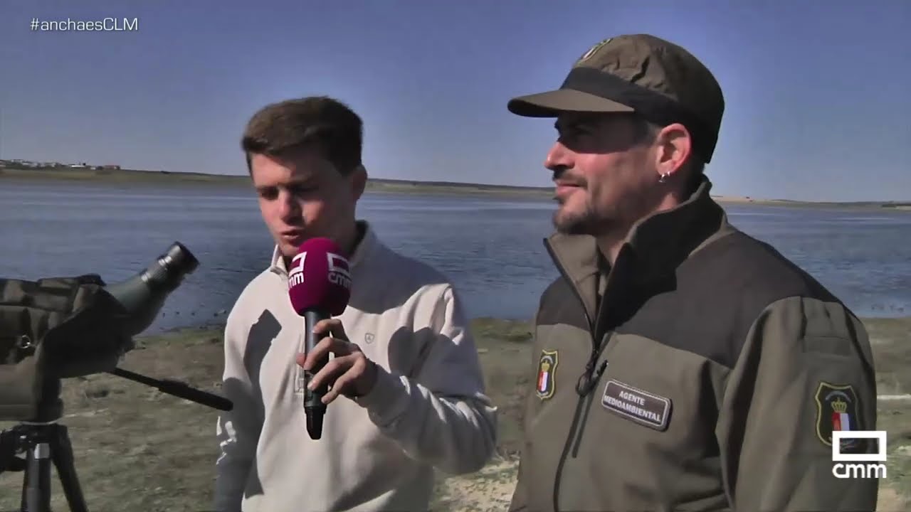 Miles de animales en la laguna de El Hito