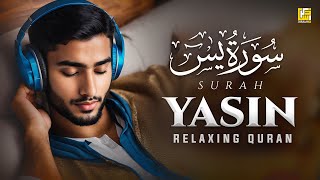 Ramadan Special | Surah Yasin (Yaseen) سورة يس | Relaxing Soft Quran Recitation | Zikrullah Tv
