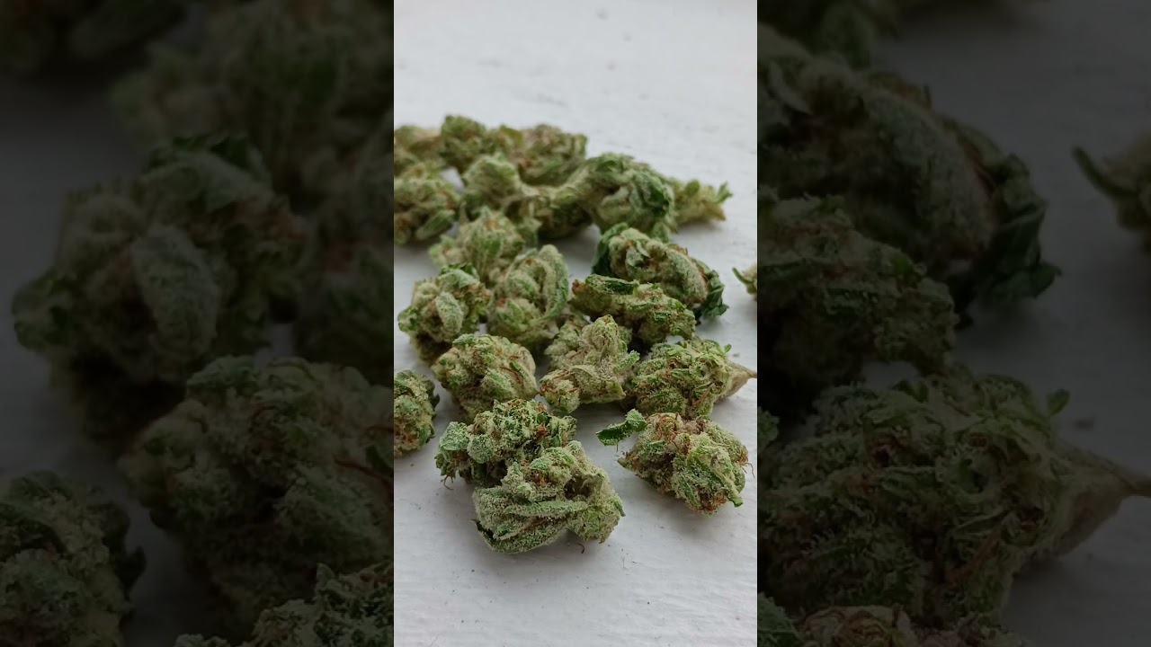 Lit Farms THCA Review Honeybuns Smalls