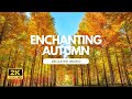 3 Hours of Enchanting Autumn Nature Scenes - Relaxing Piano Music for Stress Relief