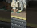 G10 Fiberglass CNC Machining Process | Custom Insulation Parts