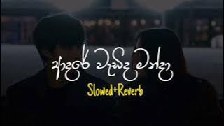 Adare Wadida Manda - ආදරේ වැඩිද මන්දා (Slowed Reverb)