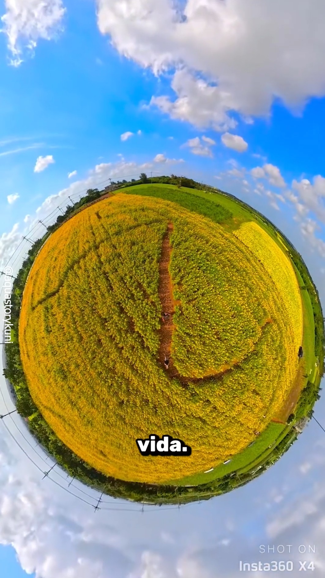El video que confundió a TODO el mundo ?✨