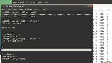 Interactive Brainfuck interpreter - lbf