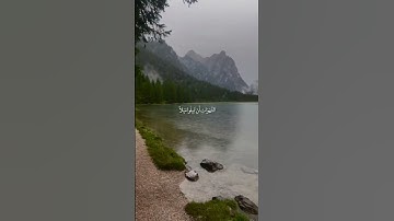 والله يريد ان يتوب عليكم.. #تلاوات #قران_كريم #القرآن_الكريم #حالات_واتساب_قرآن_كريم #تلاوة_خاشعة