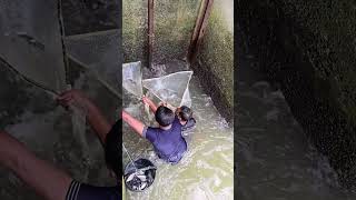 দুই বন্ধুর মাছ ধরার চমৎকার পদ্ধতি। #fishing #fish