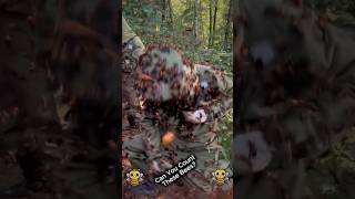 Before & After Animals Growing Up.amazing Animal Transformation