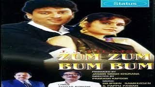 Phool Dil Todte Hain Song Suresh Wadkar, Zum Zum Bum Bum(2001)Unreleased Movie